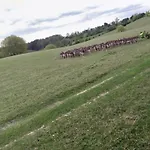Séjour chez l'habitant Maxovo Kralovstvi