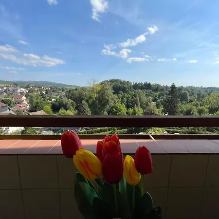 Maxovo Království